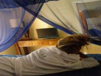 Location de particuliers � particuliers Escale Tropicale 5 �toiles Location saisonni�re Nouvelle Cal�donie photo 6