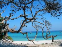 Location de particuliers � particuliers LAMA, des vacances de r�ves, village m�di�val, 