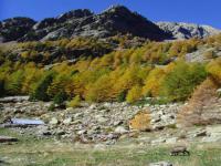 Location de particuliers � particuliers Chambres h�tes Chalet rondins Mercantour Acc�s handicap� Chambres d'hotes Alpes maritimes photo 9