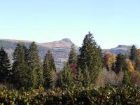 Location de particuliers � particuliers La Bourboule sport d'hiver - Cure - vacances Location saisonni�re Puy de D�me photo 3