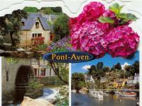 Location de particuliers � particuliers  Mobil home � louer au domaine de Kerlann 4* Pont Aven Camping / Mobile-home Finist�re photo 8