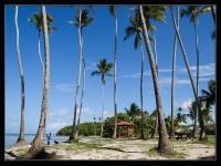 Location de particuliers � particuliers Villa du lagon vue imprenable sur la mer, piscine Location saisonni�re Martinique photo 10