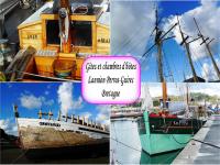 Location de particuliers � particuliers Avril en BRETAGNE? g�te chaleureux 280e/sem  - 10 MER � Lannion Location saisonni�re C�tes d'Armor photo 8