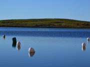 Location de particuliers � particuliers Appartement � SUPER BESSE � quelques m�tres des pistes de ski Location saisonni�re Puy de D�me photo 2