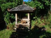 Location de particuliers � particuliers Le Relais Forestier au calme dans une nature exub�rante Chambres d'hotes Mayotte photo 5