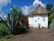 Location de particuliers � particuliers Le Relais Forestier au calme dans une nature exub�rante Chambres d'hotes Mayotte photo 7