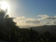 Location de particuliers � particuliers Le Relais Forestier au calme dans une nature exub�rante Chambres d'hotes Mayotte photo 8