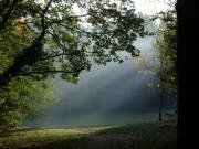 Location de particuliers � particuliers Cabanes insolites et glamping dans la foret de Darney Location insolite Vosges photo 2