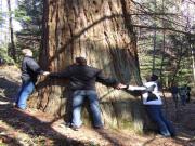 Location de particuliers � particuliers Cabanes insolites et glamping dans la foret de Darney Location insolite Vosges photo 3