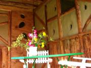 Location de particuliers � particuliers Cabanes insolites et glamping dans la foret de Darney Location insolite Vosges photo 6