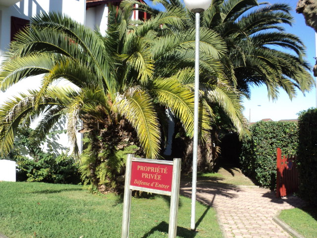 Location de particuliers � particuliers APPARTEMENT, BELLE RESIDENCE AVEC DES PALMIERS PRES DE LA PLAGE Location saisonni�re Pyr�n�es Atlantiques