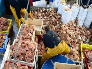 Location de particuliers � particuliers GITE A LA CAMPAGNE 5KM DE LA MER G�te Seine Maritime photo 6