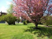 Location de particuliers � particuliers GITE A LA CAMPAGNE 5KM DE LA MER G�te Seine Maritime photo 7