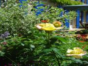 Location de particuliers � particuliers Des chambres d'h�tes typiquement landaises Chambres d'hotes Landes photo 2