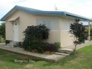 Location de particuliers � particuliers Location gite nouvelle caledonie dans jardin tropical G�te Nouvelle Cal�donie photo 2