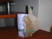 Location de particuliers � particuliers Appartement a l'�tage d'une villa Location saisonni�re Landes photo 8