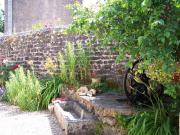 Location de particuliers � particuliers Gite le bat de l'ane, en bas des vignes Entre Chalonnais et Autunois G�te Sa�ne et Loire photo 8