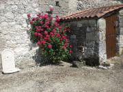 Location de particuliers � particuliers Vacances en quercy blanc en pleine nature G�te Tarn et Garonne photo 2