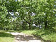 Location de particuliers � particuliers Vacances en quercy blanc en pleine nature G�te Tarn et Garonne photo 5
