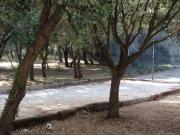 Location de particuliers � particuliers Maison Provence 5 pers-Piscine-Tennis-P�tanque - Le Domaine d'Al�zen G�te Bouches du rh�ne photo 10
