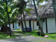 Location de particuliers � particuliers HOTEL LE VALLON DORE H�tel Nouvelle Cal�donie photo 3