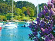 Location de particuliers � particuliers Mobilhome dans camping 4 �toiles  PRES DE LA MER ENTRE PONT AVEN ET NEVEZ Camping / Mobile-home Finist�re photo 8