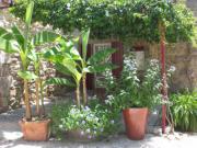 Location de particuliers � particuliers Le Moulin de Courlas B&B � 20min des Gorges de l'Ard�che Chambres d'hotes Gard photo 8