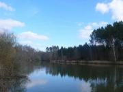 Location de particuliers � particuliers Gite a louer en plein coeur du P�rigord blanc G�te Dordogne photo 11