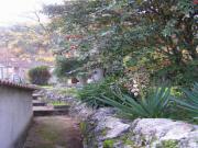 Location de particuliers � particuliers Appartement 6 pl, avec chambre dans jardin centre de la Corse entre Bastia et Ajaccio Location saisonni�re Haute Corse photo 7