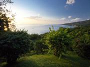 Location de particuliers � particuliers appartement Mezzanine 4-6pers, vue picine et Mer G�te Guadeloupe photo 11