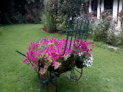 Location de particuliers � particuliers Chambres d'h�tes 