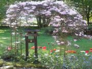 Location de particuliers � particuliers Chambres d'h�tes 