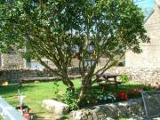 Location de particuliers � particuliers Gite en baie du Mont Saint Michel Location saisonni�re Ille et Vilaine photo 6