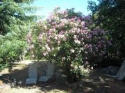 Location de particuliers � particuliers Location de vacances � ruoms (ard�che) G�te Ard�che photo 2
