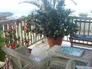 Location de particuliers � particuliers Chambre d'h�tes vue panoramique de la terrasse avec sur la mer et l'�le de la Dominique Chambres d'hotes Martinique photo 9