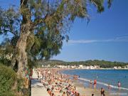 Location de particuliers � particuliers App T3 70 m2 rez de jardin plein sud 100m mer Location saisonni�re Var photo 7