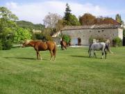 Location de particuliers � particuliers G�tes Grand Pr� ! avec Piscine - Midi Pyr�n�es - ouverts toute l'ann�e G�te Tarn et Garonne photo 9
