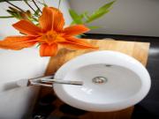 Location de particuliers � particuliers Le Pavilon Math�o, Son jacuzzi, jolie vue sur la tour et le parc du domaine G�te Gard photo 8