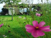 Location de particuliers � particuliers Domaine Laspeyrisses Chambres et Tables d'h�tes � Soupex proche Toulouse/Carcassonne  Chambres d'hotes Aude photo 13