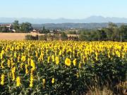 Location de particuliers � particuliers Domaine Laspeyrisses Chambres et Tables d'h�tes � Soupex proche Toulouse/Carcassonne  Chambres d'hotes Aude photo 15