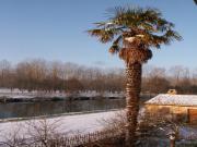 Location de particuliers � particuliers La Balang�re en bordure de la S�vre Niortaise au c�ur du marais poitevin Chambres d'hotes Deux S�vres photo 10