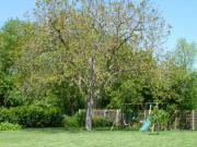 Location de particuliers � particuliers La Balang�re en bordure de la S�vre Niortaise au c�ur du marais poitevin Chambres d'hotes Deux S�vres photo 9