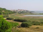 Location de particuliers � particuliers G�te � proximit� des �tangs de Bages et Peyriac de mer G�te Aude photo 8