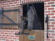 Location de particuliers � particuliers AUX TRAITS ENCHANTES, � la crois�e de la C�te d�Opale et de l�Audomarois Chambres d'hotes Pas de Calais photo 8