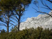 Location de particuliers � particuliers Les Estageons - Chambres d'hotes � Aix en Provence face � la montagne Sainte Victoire Chambres d'hotes Bouches du rh�ne photo 6