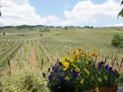 Location de particuliers � particuliers LE VOGELGARTEN � 3kms de KAYSERSBERG, 10kms de COLMAR et RIBEAUVILLE Chambres d'hotes Haut Rhin photo 6