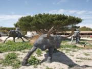 Location de particuliers � particuliers S�jour au Mas de Calabrun****, avec pour voisins les flamants roses, taureaux et chevaux H�tel Bouches du rh�ne photo 5