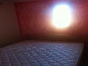 Location de particuliers � particuliers Loue maison 60M� meubl�e bord de plage au marines de venzolasca en haute-corse Location saisonni�re Haute Corse photo 6