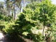Location de particuliers � particuliers Chambres � la Campagne Chambres d'hotes Bouches du rh�ne photo 6