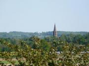 Location de particuliers � particuliers Maison de caract�re pour les vacances, R�gion de Montauban G�te Tarn et Garonne photo 12